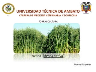 UNIVERSIDAD TÉCNICA DE AMBATO
CARRERA DE MEDICINA VETERINARIA Y ZOOTECNIA
FORRAJICULTURA

Avena (Avena sativa)
Manuel Toapanta

 
