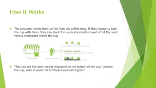 How It Works
 The consumer drinks their coffee from the coffee shop. If they choose to take
the cup with them, they can plant it in several scenarios based off of the seed
variety embedded within the cup.
 They can see the seed variety displayed on the bottom of the cup. Unravel
the cup, soak in water for 5 minutes and watch grow!
 