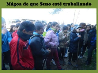 Mágoa de que Suso esté traballando
 