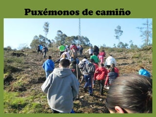 Puxémonos de camiño
 