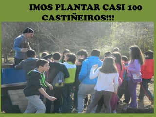 IMOS PLANTAR CASI 100
  CASTIÑEIROS!!!
 