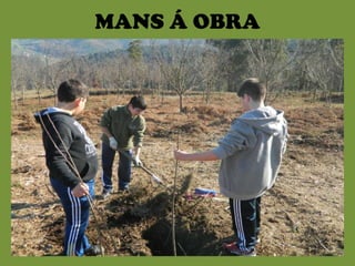 MANS Á OBRA
 