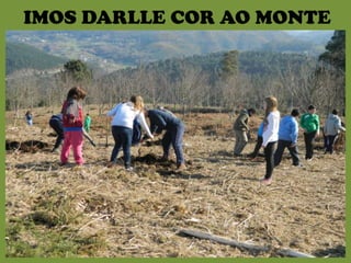 IMOS DARLLE COR AO MONTE
 