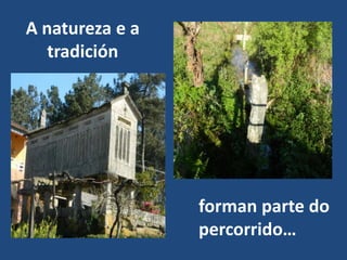 A natureza e a
   tradición




                 forman parte do
                 percorrido…
 