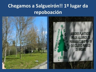 Chegamos a Salgueirón!! 1º lugar da
          repoboación
 