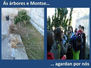 Ás árbores e Montse…




                       … agardan por nós
 