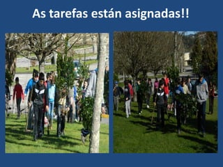 As tarefas están asignadas!!
 