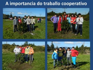 A importancia do traballo cooperativo
 