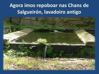 Agora imos repoboar nas Chans de
   Salgueirón, lavadoiro antigo
 