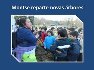 Montse reparte novas árbores
 