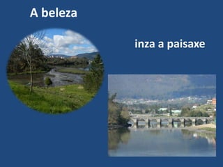 A beleza

           inza a paisaxe
 