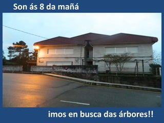 Son ás 8 da mañá




        imos en busca das árbores!!
 