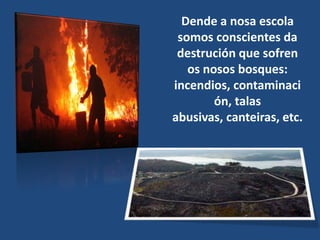 Dende a nosa escola
 somos conscientes da
 destrución que sofren
   os nosos bosques:
incendios, contaminaci
        ón, talas
abusivas, canteiras, etc.
 