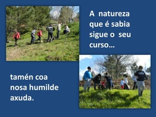 A natureza
               que é sabia
               sigue o seu
               curso…


tamén coa
nosa humilde
axuda.
 