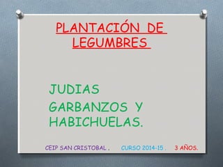 PLANTACIÓN DE
LEGUMBRES
JUDIAS
GARBANZOS Y
HABICHUELAS.
CEIP SAN CRISTOBAL . CURSO 2014-15 . 3 AÑOS.
 