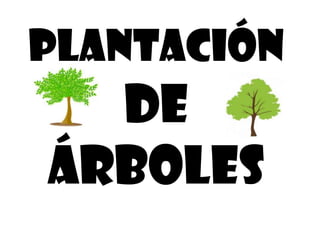 PLANTACIÓN
DE
ÁRBOLES
 