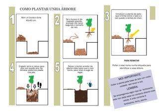 COMO PLANTAR UNHA ÁRBORE
Abrir un buraco duns
40x40 cm.
Se o buraco é de-
masiado grande,
enchelo con terra
segundo o tama...
