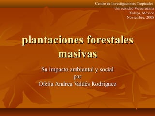 Centro de Investigaciones Tropicales
Universidad Veracruzana
Xalapa, México
Noviembre, 2008

plantaciones forestales
masivas
Su impacto ambiental y social
por
Ofelia Andrea Valdés Rodríguez

 