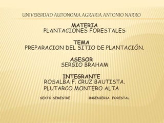 UNIVERSIDAD AUTONOMA AGRARIA ANTONIO NARRO
MATERIA
PLANTACIONES FORESTALES
TEMA
PREPARACION DEL SITIO DE PLANTACIÓN.
ASESOR
SERGIO BRAHAM
INTEGRANTE
ROSALBA F. CRUZ BAUTISTA.
PLUTARCO MONTERO ALTA
SEXTO SEMESTRE INGENIERIA FORESTAL
 