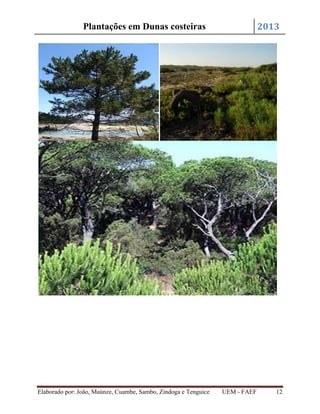 2013

Plantações em Dunas costeiras

Elaborado por: João, Maúnze, Cuambe, Sambo, Zindoga e Tenguice

UEM - FAEF

12

 