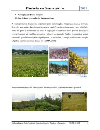 2013

Plantações em Dunas costeiras
3. Plantações em Dunas costeiras
3.1.Descrição da vegetação das dunas costeiras

A vegetação nativa desempenha importante papel na formação e fixação das dunas, e tipo varia
de região para região. São plantas adaptadas às condições ambientais extremas como salinidade,
atrito dos grãos e movimentos de areia. A vegetação existente nas dunas provém da sucessão
vegetal (pioneira até equilíbrio ecológico – clímax). A vegetação fixadora (pioneira) de areia é
constituída principalmente pela catiporágua de cor vermelhos, a margarida-das-dunas, o capim
salgado e o capim das dunas. Citado por (NEMA, 2006).

Nas dunas também ocorre formações de brechas costeiras, floresta ribeirinha e graminal.

Elaborado por: João, Maúnze, Cuambe, Sambo, Zindoga e Tenguice

UEM - FAEF

4

 