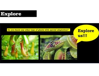 Do you know any other type of plants with special adaptation?
Explore
us!!!
 
