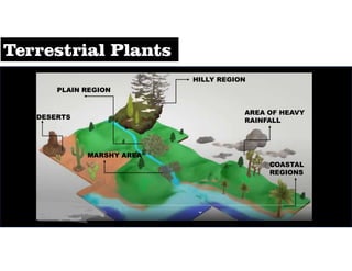 HILLY REGION
PLAIN REGION
DESERTS
MARSHY AREA
COASTAL
REGIONS
AREA OF HEAVY
RAINFALL
 