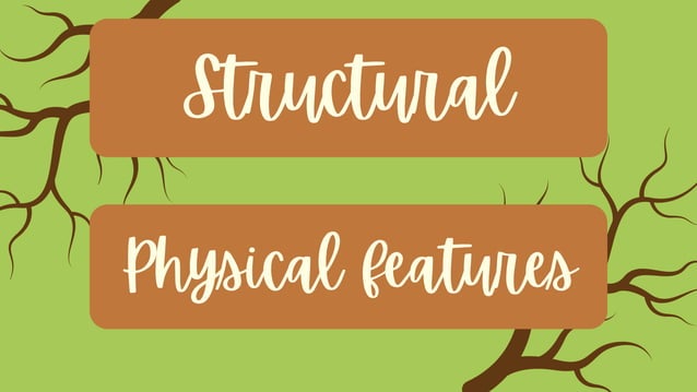 Structural, Behavioral, Physiological Plant Adaptations (5th Grade ...
