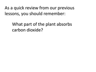 As a quick review from our previous
lessons, you should remember:
What part of the plant absorbs
carbon dioxide?
 