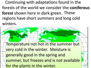 These
regions have short summers and long cold
winters.
Continuing with adaptations found in the
forests of the world we consider the coniferous
forest shown here in dark green.
Temperature not hot in the summer but
very cold in the winter. Moisture is
generally good in the spring and
summer, but freezes and is not available
for the plants in the winter.
 