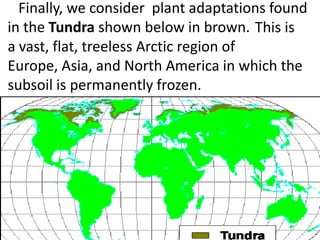Finally, we consider plant adaptations found
in the Tundra shown below in brown. This is
a vast, flat, treeless Arctic region of
Europe, Asia, and North America in which the
subsoil is permanently frozen.
 