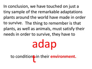 In conclusion, we have touched on just a
tiny sample of the remarkable adaptations
plants around the world have made in order
to survive. The thing to remember is that
plants, as well as animals, must satisfy their
needs in order to survive, they have to
to conditions in their environment.
adap
t
 