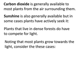 Carbon dioxide is generally available to
most plants from the air surrounding them.
Plants that live in dense forests do have
to compete for light.
Noting that most plants grow towards the
light, consider the these cases:
Sunshine is also generally available but in
some cases plants have actively seek it:
 