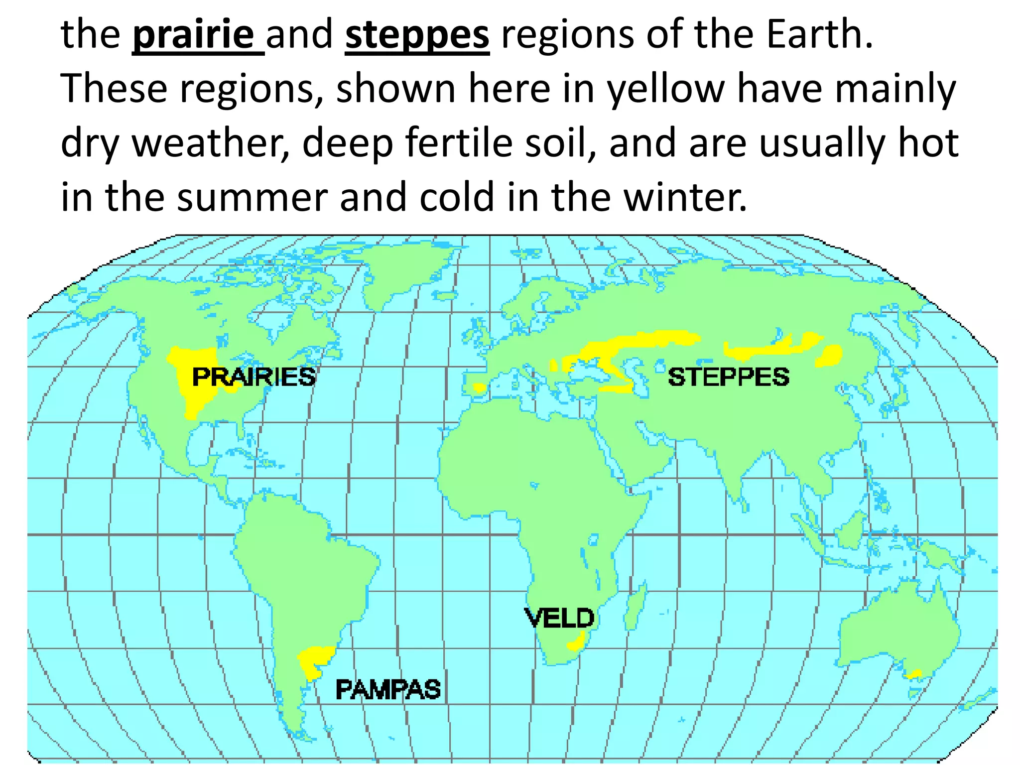 the prairie and steppes regions of the Earth.
These regions, shown here in yellow have mainly
dry weather, deep fertile soil, and are usually hot
in the summer and cold in the winter.
 