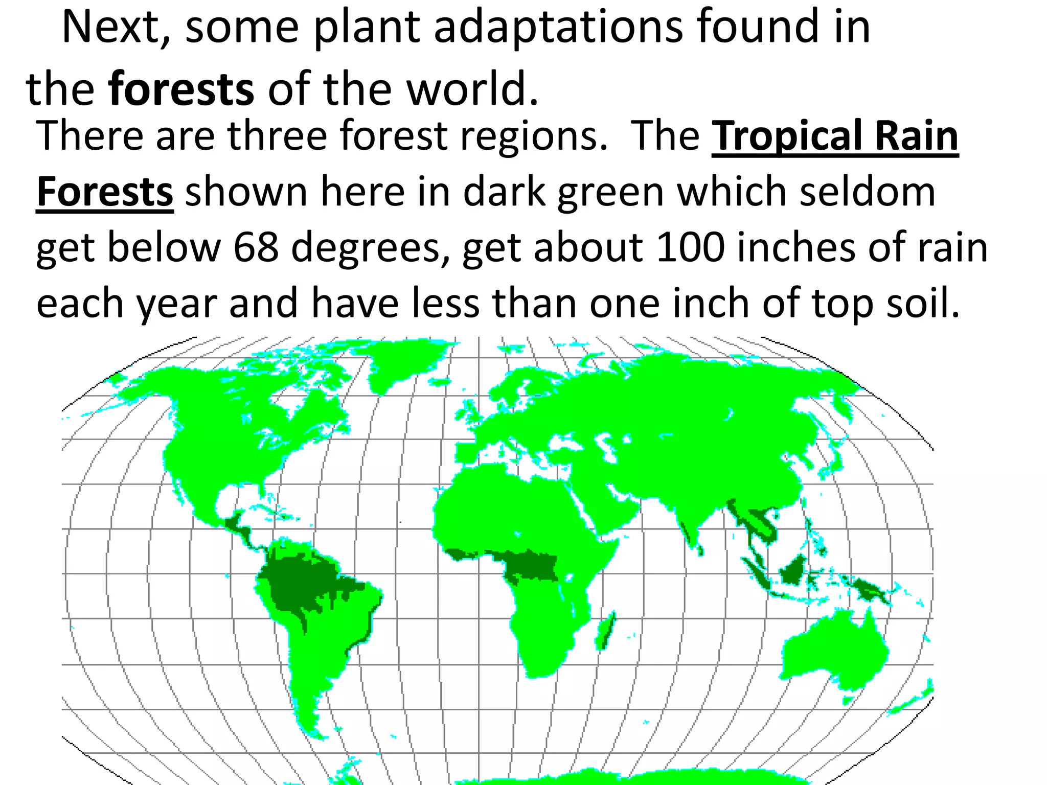 Next, some plant adaptations found in
the forests of the world.
There are three forest regions. The Tropical Rain
Forests shown here in dark green which seldom
get below 68 degrees, get about 100 inches of rain
each year and have less than one inch of top soil.
 