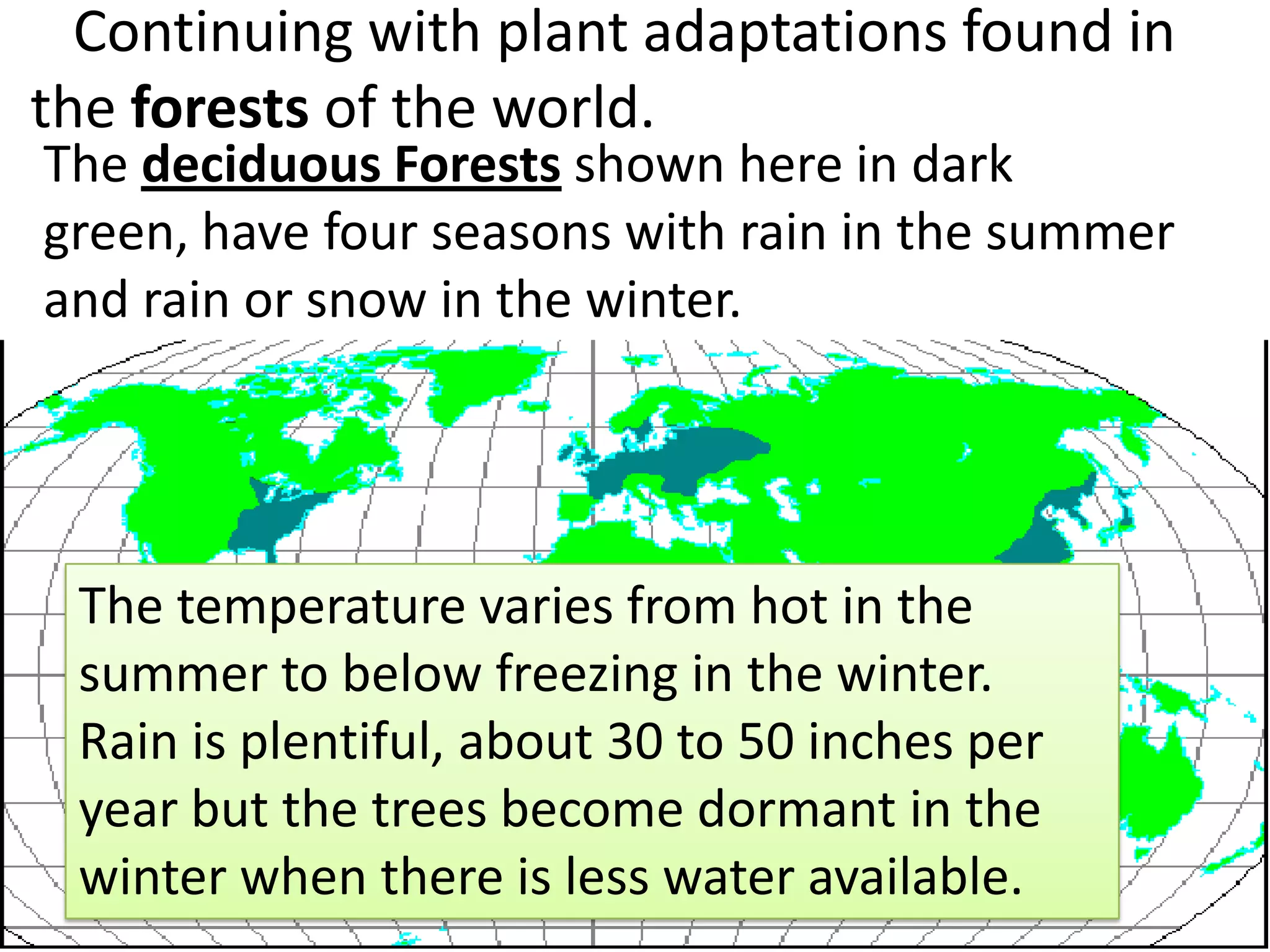 Continuing with plant adaptations found in
the forests of the world.
The deciduous Forests shown here in dark
green, have four seasons with rain in the summer
and rain or snow in the winter.




 The temperature varies from hot in the
 summer to below freezing in the winter.
 Rain is plentiful, about 30 to 50 inches per
 year but the trees become dormant in the
 winter when there is less water available.
 