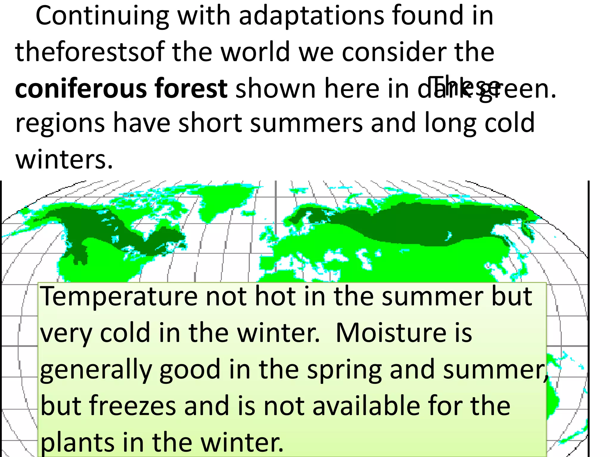 Continuing with adaptations found in
theforestsof the world we consider the
                                 These
coniferous forest shown here in dark green.
regions have short summers and long cold
winters.



 Temperature not hot in the summer but
 very cold in the winter. Moisture is
 generally good in the spring and summer,
 but freezes and is not available for the
 plants in the winter.
 