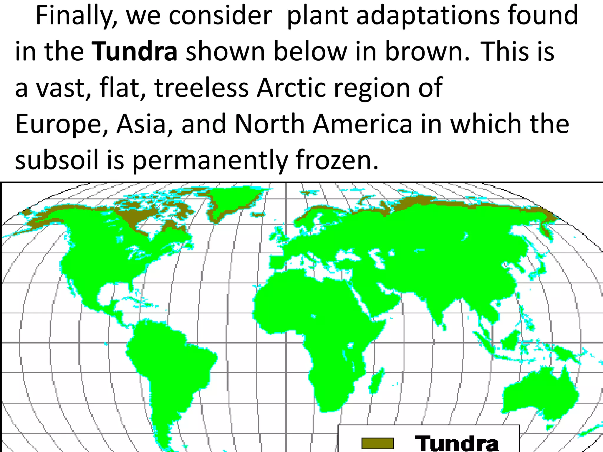 Finally, we consider plant adaptations found
in the Tundra shown below in brown. This is
a vast, flat, treeless Arctic region of
Europe, Asia, and North America in which the
subsoil is permanently frozen.
 
