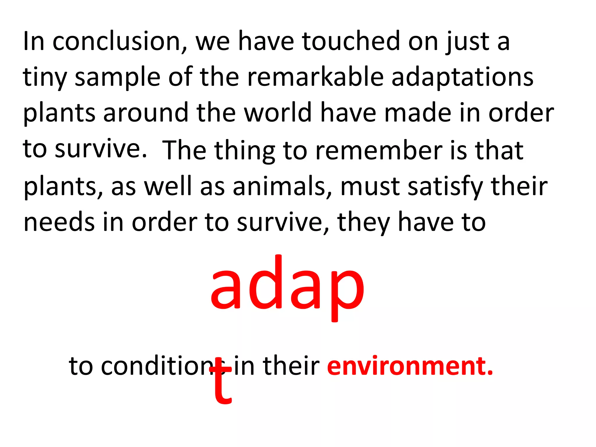 In conclusion, we have touched on just a
tiny sample of the remarkable adaptations
plants around the world have made in order
to survive. The thing to remember is that
plants, as well as animals, must satisfy their
needs in order to survive, they have to

                adap
                t
   to conditions in their environment.
 