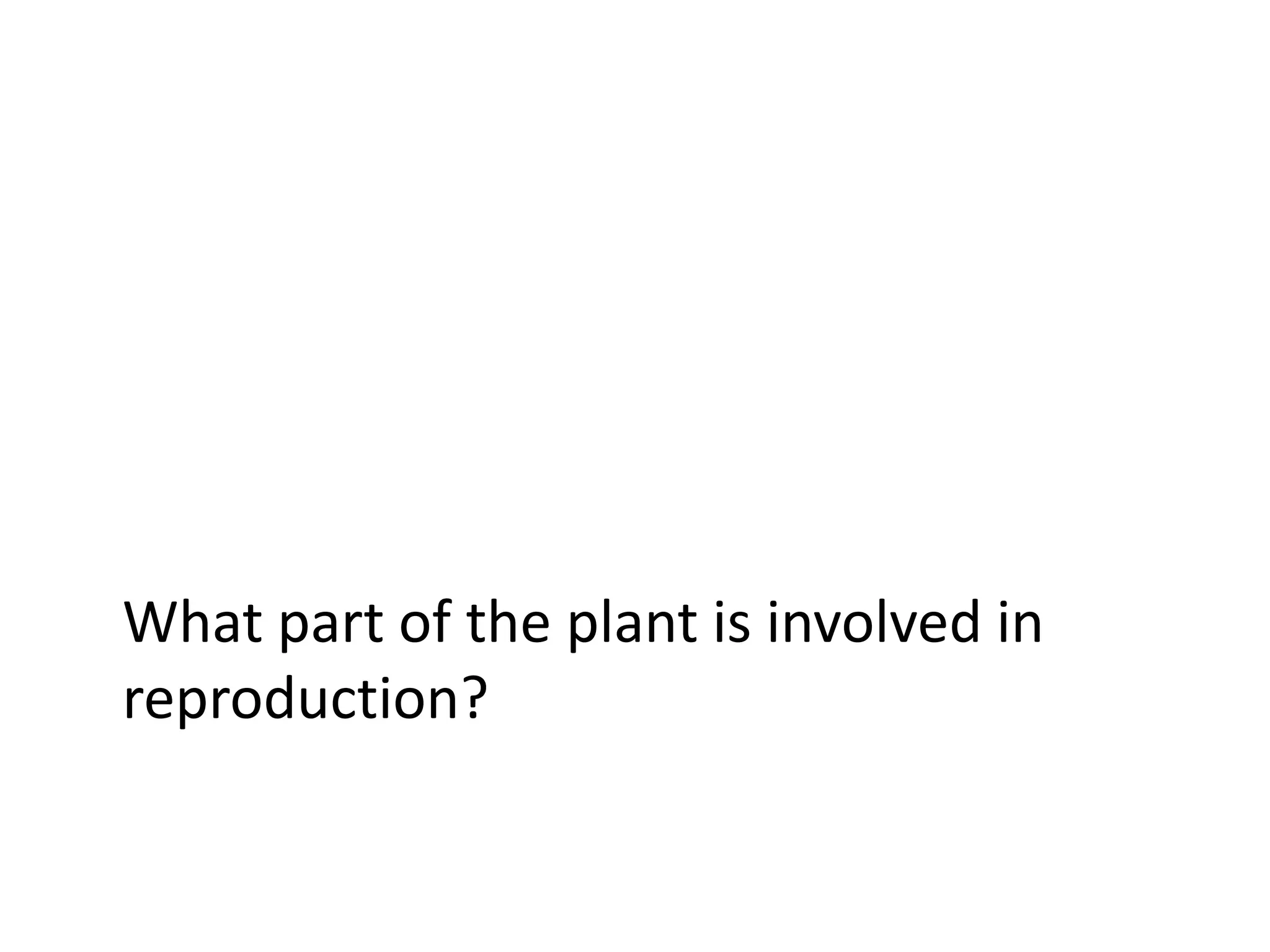 What part of the plant is involved in
reproduction?
 