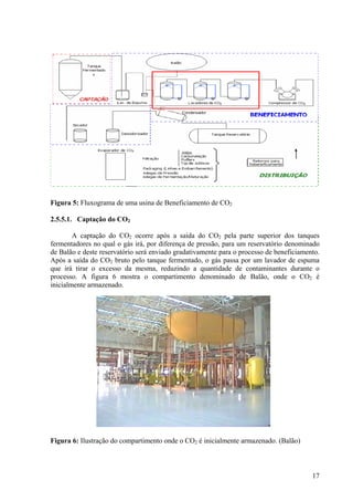 Figura 5: Fluxograma de uma usina de Beneficiamento de CO2
2.5.5.1. Captação do CO2
A captação do CO2 ocorre após a saída do CO2 pela parte superior dos tanques
fermentadores no qual o gás irá, por diferença de pressão, para um reservatório denominado
de Balão e deste reservatório será enviado gradativamente para o processo de beneficiamento.
Após a saída do CO2 bruto pelo tanque fermentado, o gás passa por um lavador de espuma
que irá tirar o excesso da mesma, reduzindo a quantidade de contaminantes durante o
processo. A figura 6 mostra o compartimento denominado de Balão, onde o CO2 é
inicialmente armazenado.
Figura 6: Ilustração do compartimento onde o CO2 é inicialmente armazenado. (Balão)
17
 