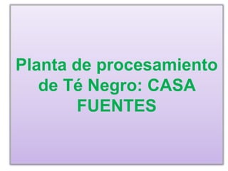 Planta de procesamiento
   de Té Negro: CASA
        FUENTES
 