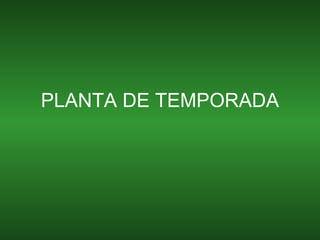 PLANTA DE TEMPORADA 