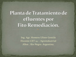 Ing. Agr. Homero Ulises Gentile
Docente CET 14 – Agroindustrial
Allen . Río Negro. Argentina.
 