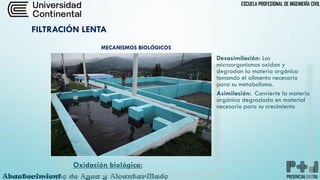 PLANTAS DE TRATAMIENTOS DE AGUA POTABLE PARA CONSUMO HUMANO | PDF