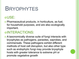 BryophytesUSE:Pharmaceutical products, in horticulture, as fuel,  for household purposes, and are also ecologically important.INTERACTIONS:A taxonomicallydiverse suite of fungiinteractswithbryophytes as pathogens, parasites, saprobes, and commensals. Thesepathogensexhibitdifferentmethods of host celldisruption, butalsoothertypesuch as endophyticfungimayprovidebryophyte hosts withgreatertoleranceto extreme pH orpromotevegetativegrowth