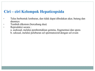 Ciri – ciri Kelompok Hepaticopsida
-

Talus berbentuk lembaran, dan tidak dapat dibedakan akar, batang dan
daunnya
Tumbuh dikotom (bercabang dua)
Reproduksi secara :
a. aseksual, melalui pembentukkan gemma, fragmentasi dan spora
b. seksual, melalui peleburan sel spermatozoid dengan sel ovum

 