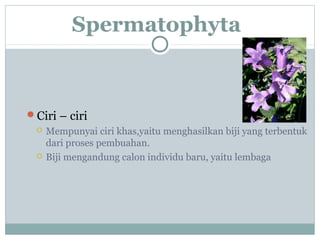 Spermatophyta

Ciri – ciri




Mempunyai ciri khas,yaitu menghasilkan biji yang terbentuk
dari proses pembuahan.
Biji mengandung calon individu baru, yaitu lembaga

 