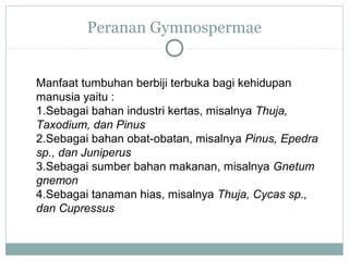 Peranan Gymnospermae

Manfaat tumbuhan berbiji terbuka bagi kehidupan
manusia yaitu :
1.Sebagai bahan industri kertas, misalnya Thuja,
Taxodium, dan Pinus
2.Sebagai bahan obat-obatan, misalnya Pinus, Epedra
sp., dan Juniperus
3.Sebagai sumber bahan makanan, misalnya Gnetum
gnemon
4.Sebagai tanaman hias, misalnya Thuja, Cycas sp.,
dan Cupressus

 