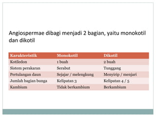 Angiospermae dibagi menjadi 2 bagian, yaitu monokotil
dan dikotil
Karakteristik

Monokotil

Dikotil

Kotiledon

1 buah

2 buah

Sistem perakaran

Serabut

Tunggang

Pertulangan daun

Sejajar / melengkung

Menyirip / menjari

Jumlah bagian bunga

Kelipatan 3

Kelipatan 4 / 5

Kambium

Tidak berkambium

Berkambium

 